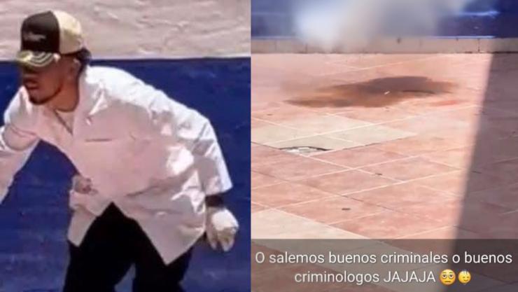 Estudiantes Hicieron Estallar a un Gato con Pirotecnia en Guanajuato