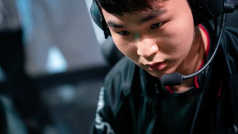 Gorilla 4000 Asistencias