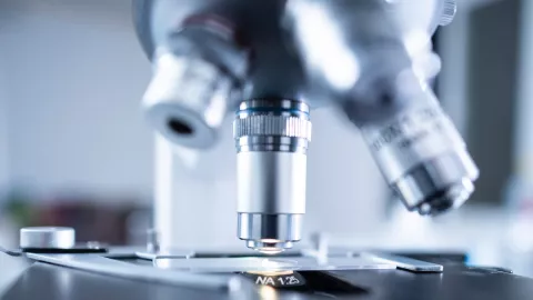 Covid-19 variante Sudáfrica