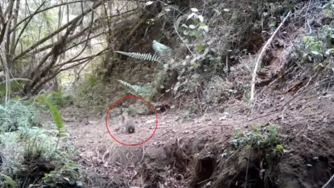 Texto del párrafo - 2025-05-14T162833.908.jpg