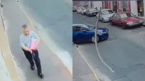 VIDEO | Captan momento en que una serpiente cae de la azotea de una casa en pleno Centro Histórico