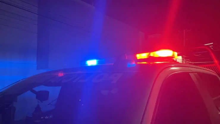 Policiaca temática