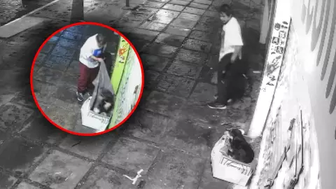 Perrito callejero es víctima de un asalto en la CDMX y le roban su cobija; VIDEO.jpg