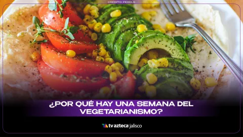 Identifica las diferencias clave entre ser vegetariano, vegano, flexitariano o reducetariano