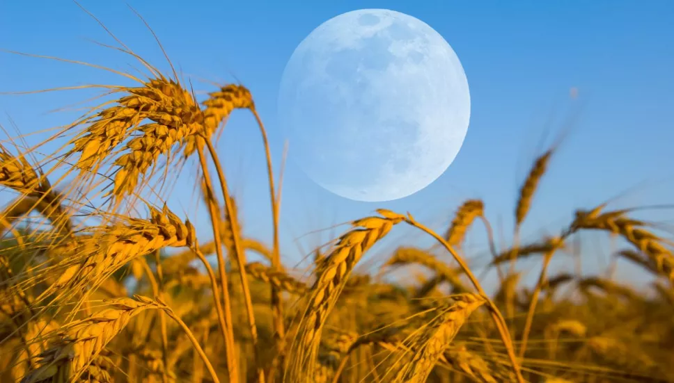 Cuándo es la luna llena en septiembre de 2024: fecha y hora