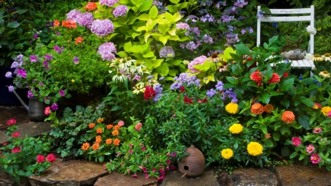 El truco de tan solo tres ingredientes para que tus flores duren hermosas por más tiempo