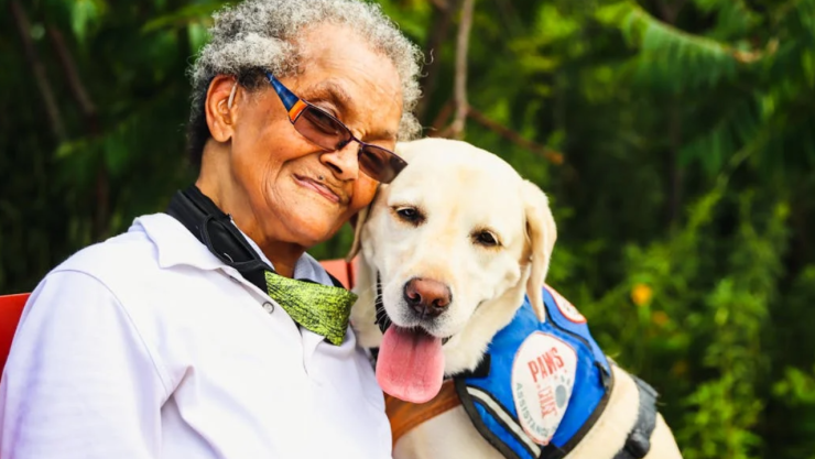 ¿A qué edad se considera viejo un perro? Expertos lo revelan  
