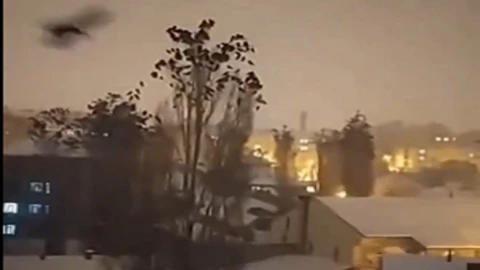 Inusual comportamiento de aves en Turquía