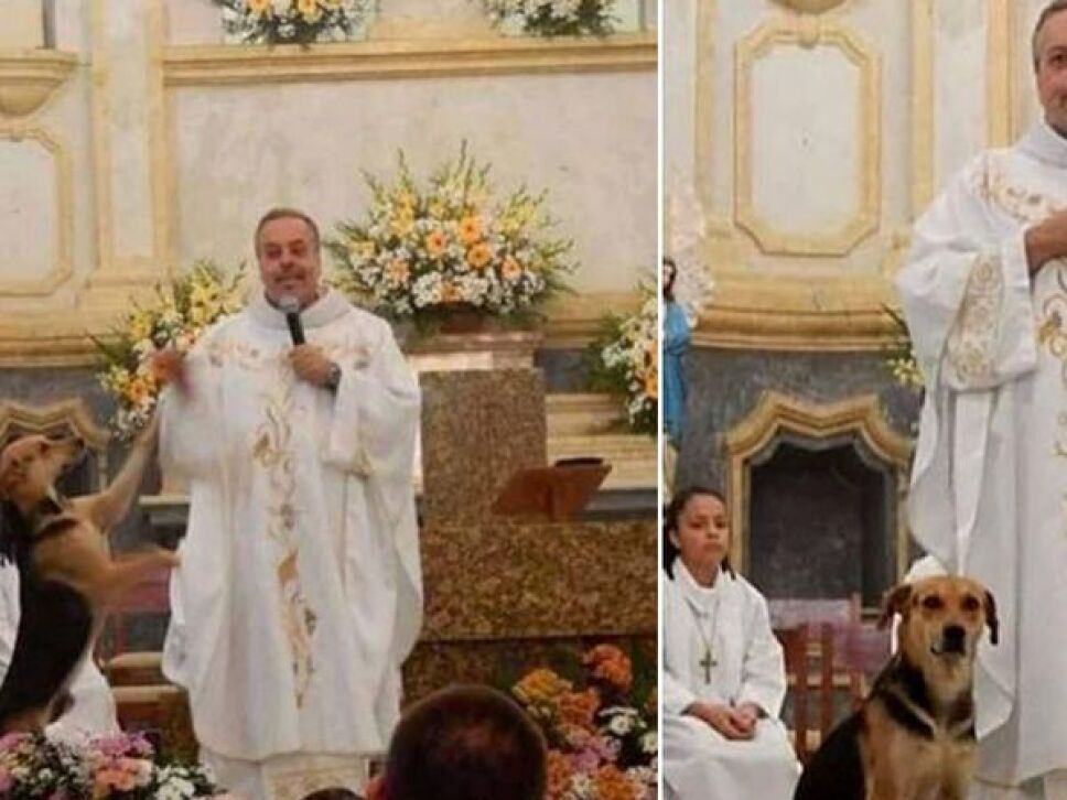 Sacerdote lleva a misa a perros abandonados para que sean adoptados