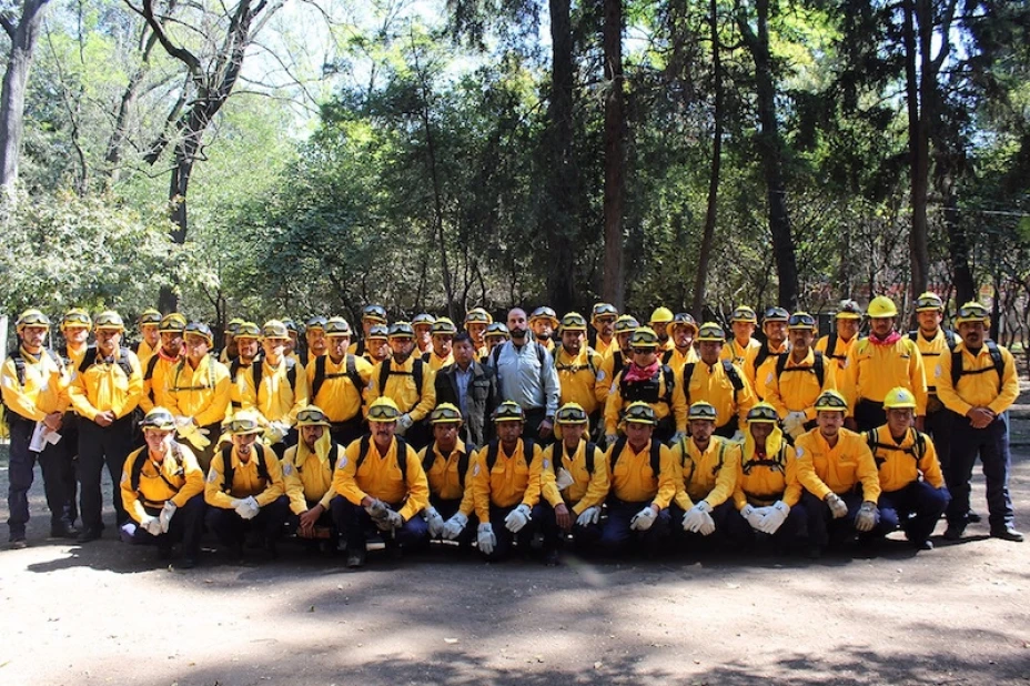 Combatientes mexicanos