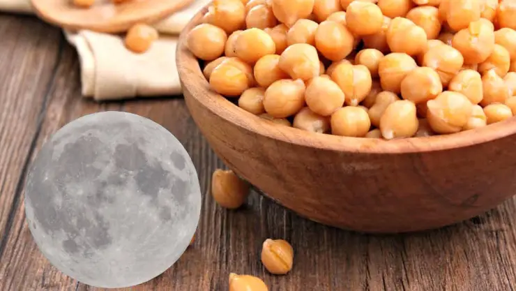 Científicos logran cultivar por primera vez plantas de garbanzo en suelo lunar