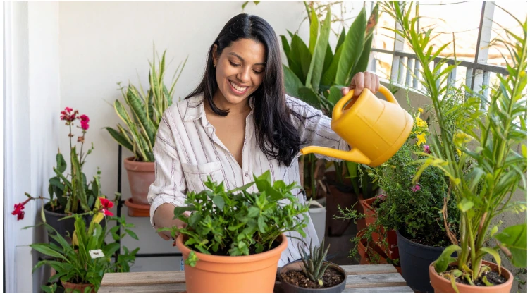 plantas resistentes para jardín