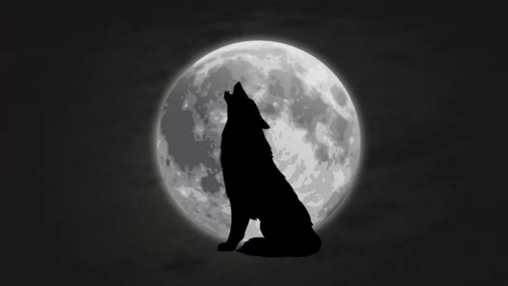 Descubre a qué hora ver la Luna llena del 13 de enero de 2025 en México, conocida como Luna de Lobo