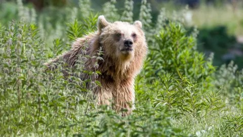 ZOOM Erlebniswelt Gelsenkirchen
