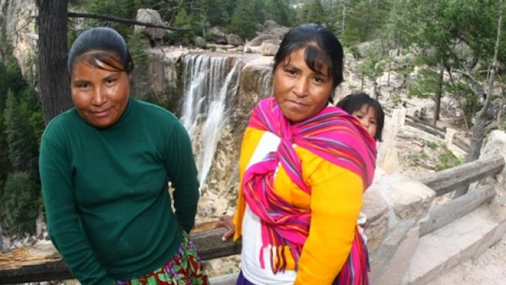 sagarpa sra mujer indigena