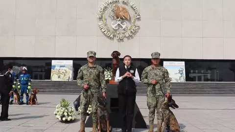 perrita frida funeral semar