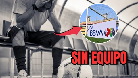 Jugó en varios equipos de la Liga BBVA MX y hoy no tiene club