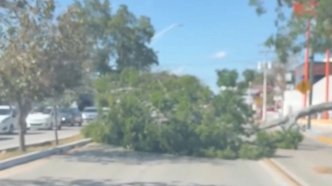 Accidente causa cambios en el servicio Va y Ven de Mérida HOY sábado 12 de abril; estas 4 rutas se verán afectadas