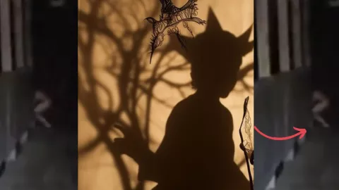 Captan nahual en Catemaco, Veracruz; se hizo viral en TikTok (VIDEO)