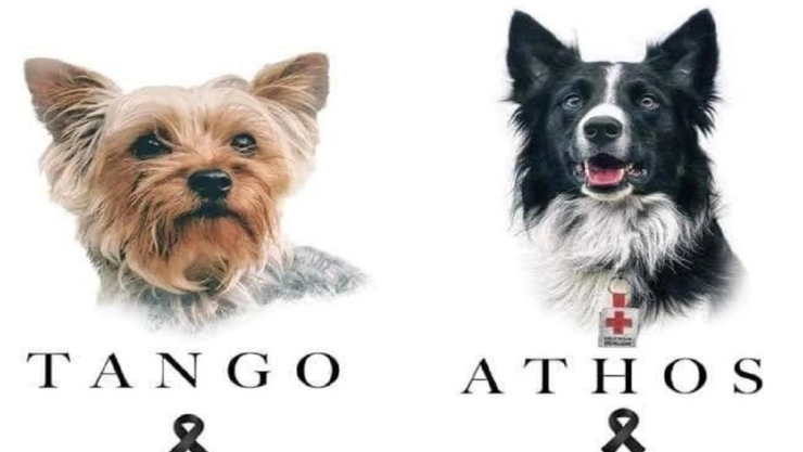 Athos y Tango