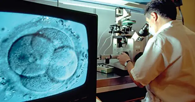 fertilización in vitro