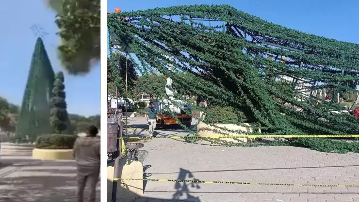 Fuertes vientos derrumban Árbol de Navidad en plaza comercial de Hidalgo