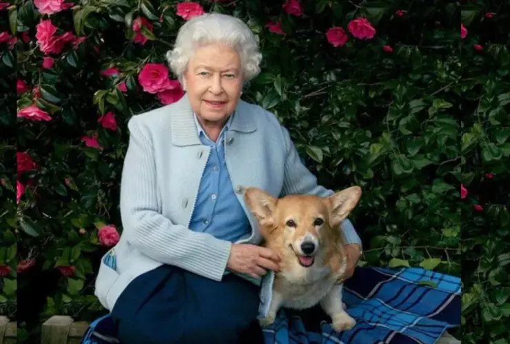 ¿Quién se quedó los perros corgi de la Reina Isabel II tras su muerte?.jpeg