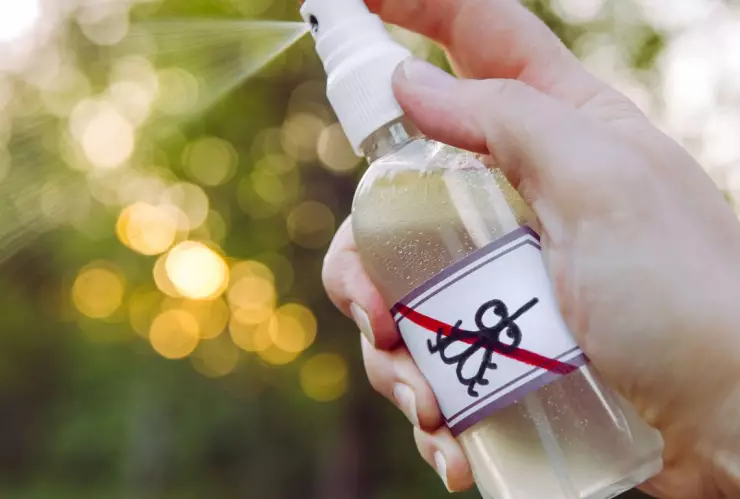 ¿Cómo hacer un insecticida casero con laurel?