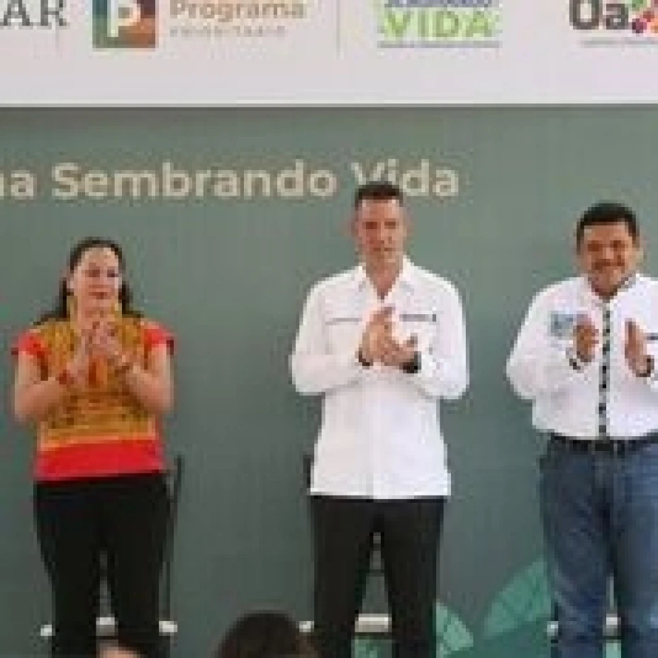 Programa sembrando vida