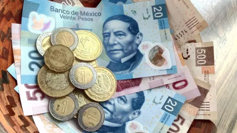 Pensión Vitalicia del IMSS, qué es y cómo tenerla