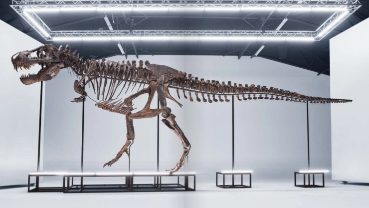 esqueleto - tiranosaurio - rex - subasta - suiza