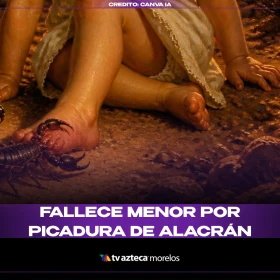 Fallece menor por picadura de alacrán.png