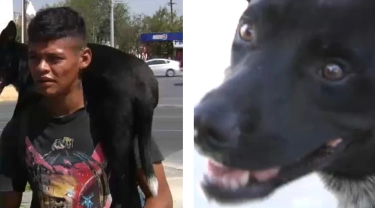 Migrnate viaja junto a su perro de nombre niño_.jpg