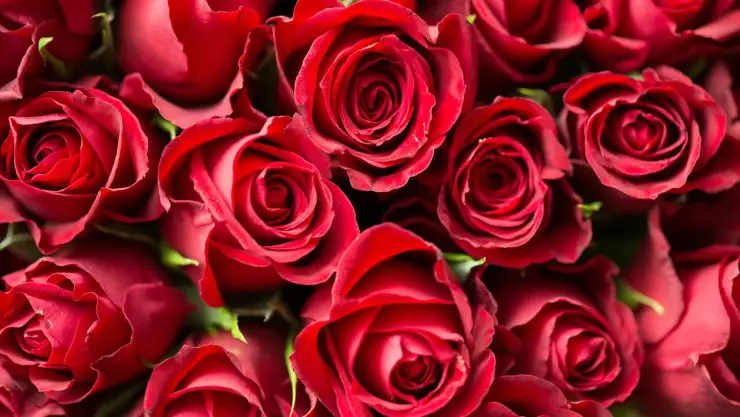 San Valentín