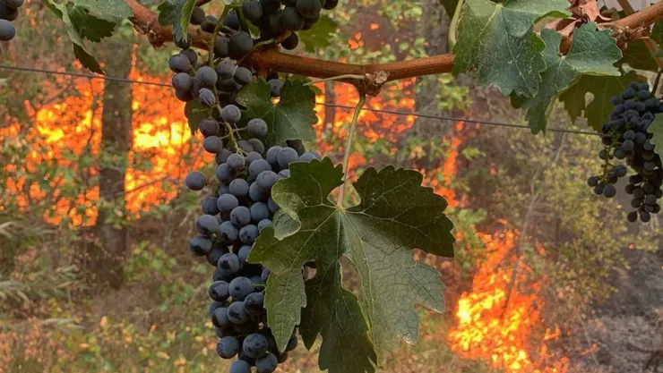 Incendio en Napa, California