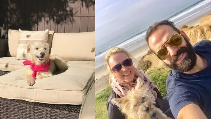 Una perrita regresó a su casa después de un año perdida.jpg