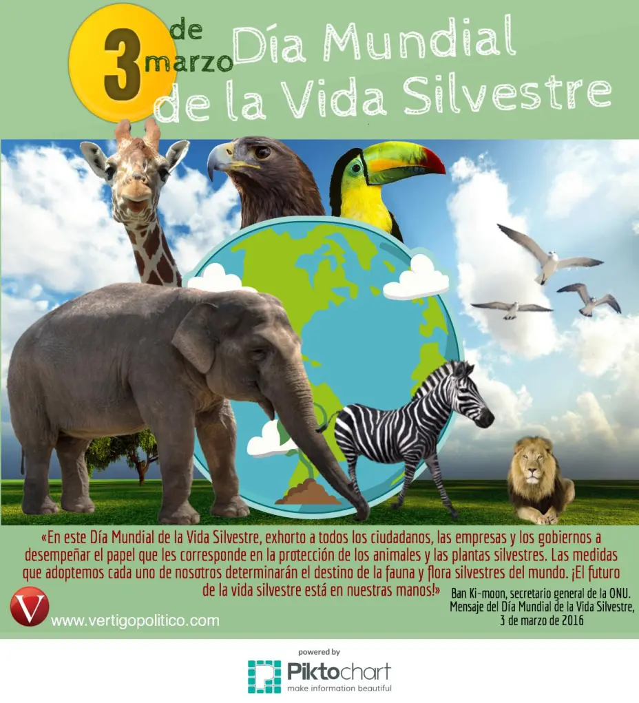 0000000000dia-mundial-de-la-vida-silvestreok.jpeg