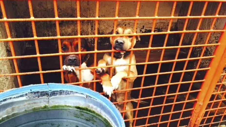 WhatsApp Image 2026-01-07 at 1.4.jpg