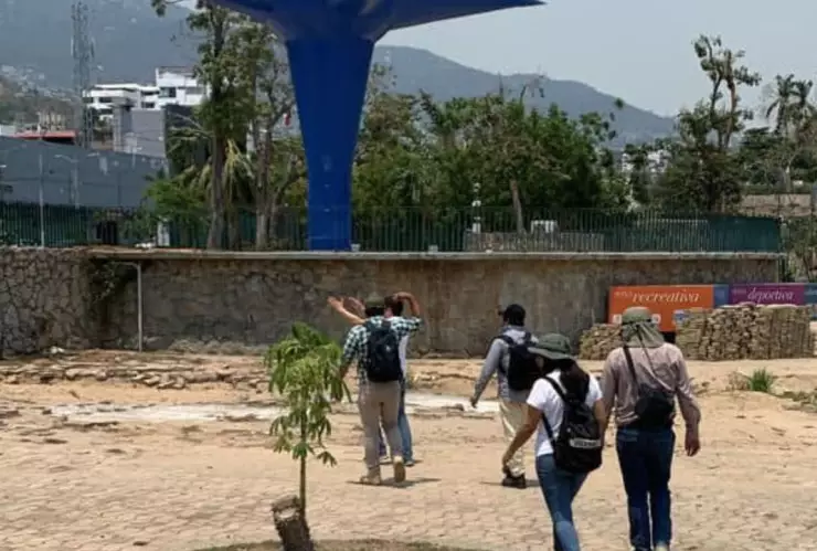 reforestación acapulco