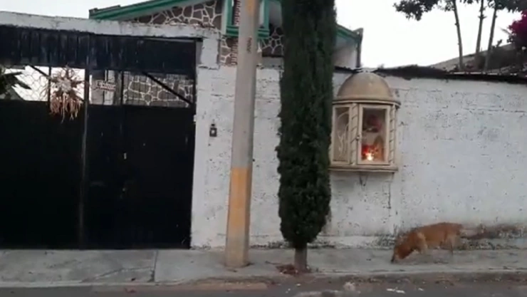 violento asalto en la colonia San Aparicio