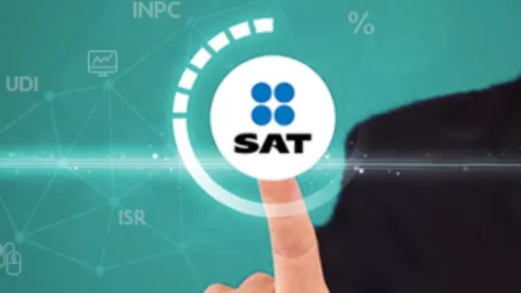 Servicio social en el SAT