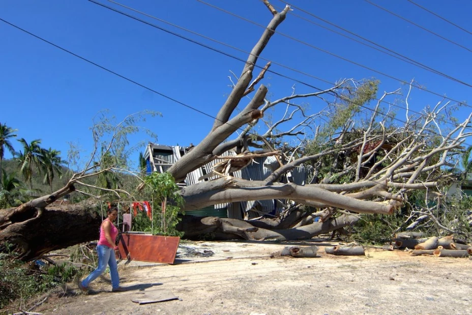 Huracanes en los ecosistemas