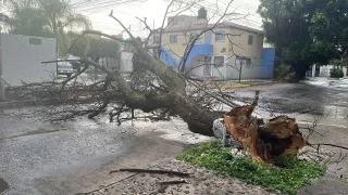 Afectaciones lluvias del viernes 21 de julio en Guadalajara