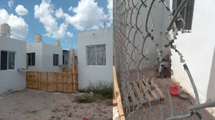 Crueldad animal_ Perrito muere en Kanasín mientras estaba encadenado