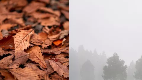 CLIMA DE OTOÑO EN TIJUANA