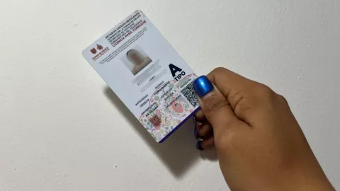 Licencia permanente al 50 de descuento