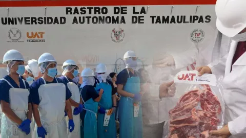Universidad Autonoma de Tamaulipas