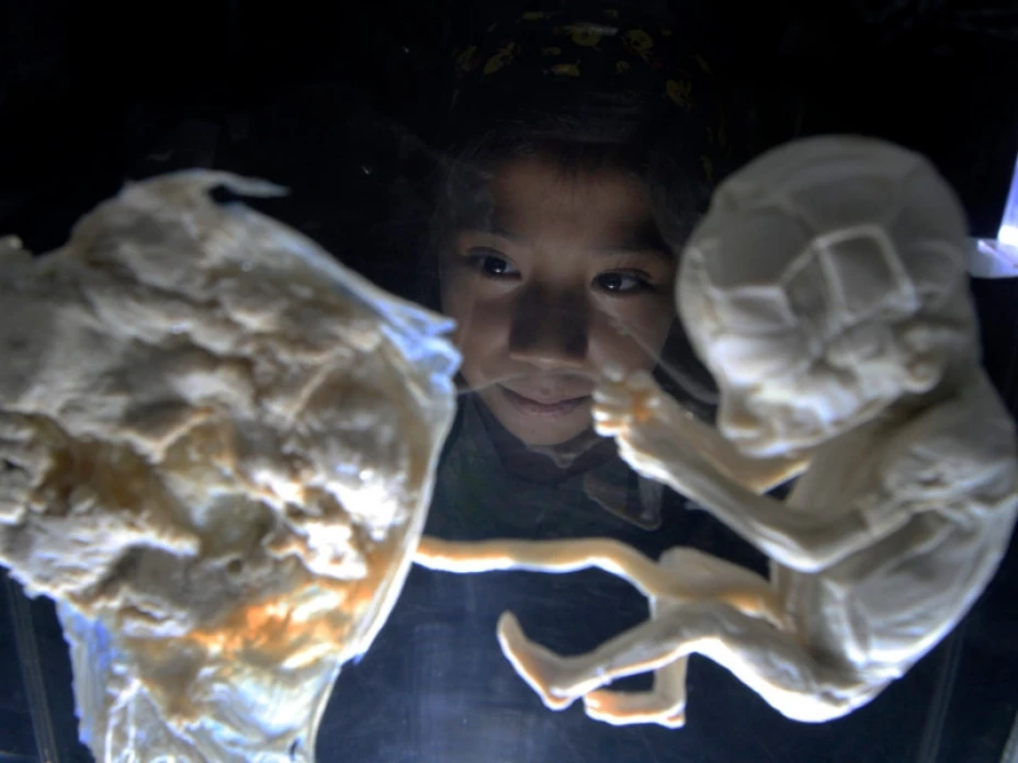 Expo en Túnel de la Ciencia STC