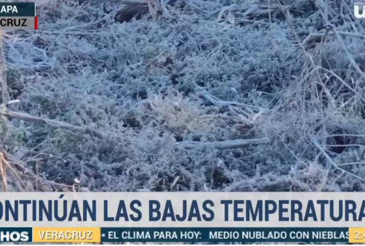 Heladas en Veracruz