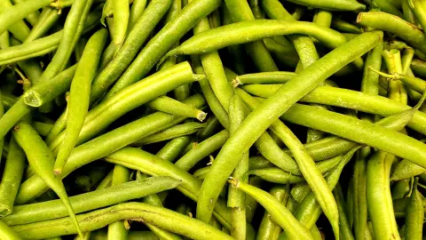 Los ejotes son verduras que toman protagonismo en la Semana Santa y la Cuaresma